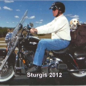 Meet your Posher, Steve